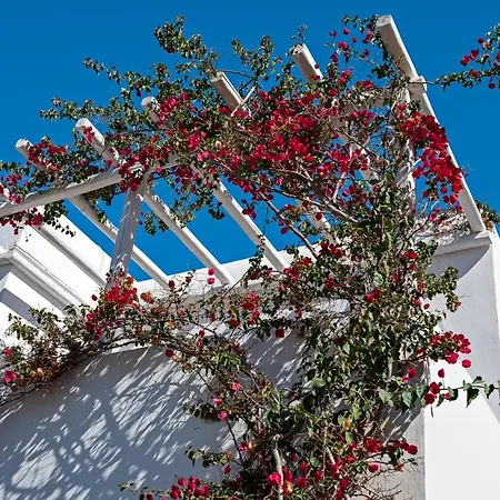 Casa Cozy Villa Mykonos Town