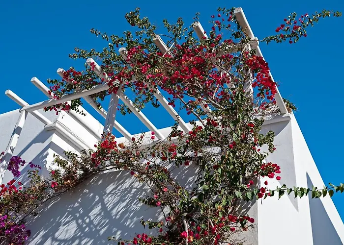 Casa Cozy Villa Mykonos Town