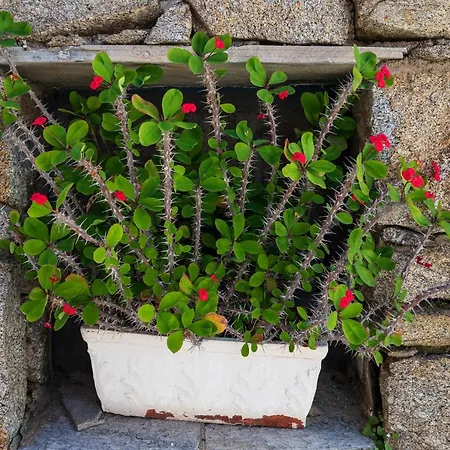 וילה Casa Cozy *