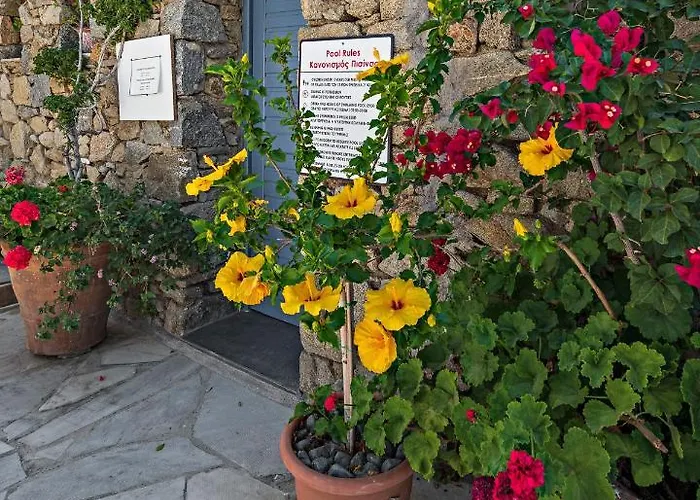 וילה Casa Cozy Mykonos Town