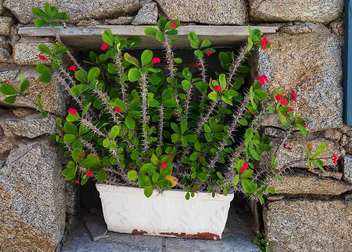 וילה Casa Cozy *