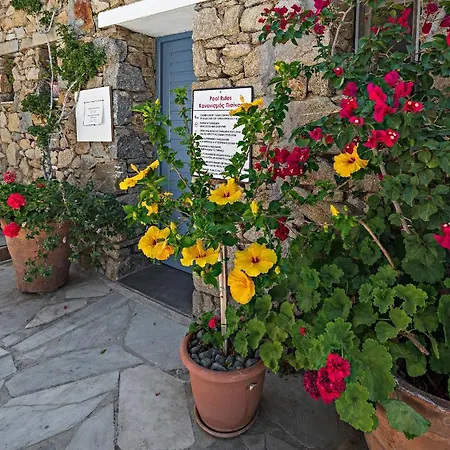 Βίλα Casa Cozy Mykonos Town